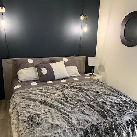 Authentique &; Design Appartement