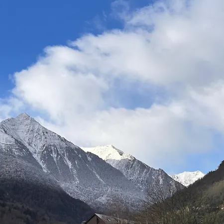 Authentique &; Design 생라리술랑